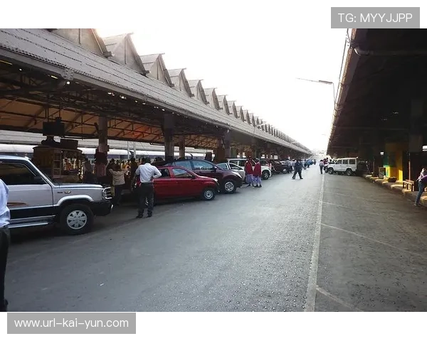 印度、柬埔寨等南亚、东南亚国家积极参与亚洲格斗锦标赛